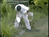 vomit throw up GIF