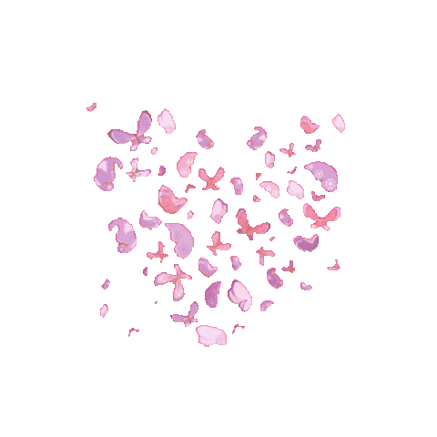 elistorycriativo heart butterfly coracao borboleta Sticker
