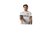 Brazil Vamos Sticker by MIBR