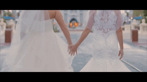 Dftw GIF by Switzerfilm