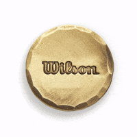wilsongolf seamus wilsongolf wilsonstaff GIF