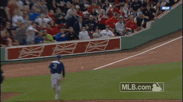 boston redsox GIF by MLB