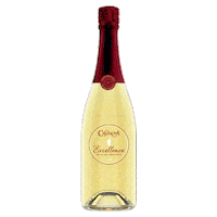 Wine Champagne Sticker by Vins Casanova