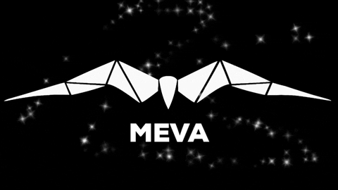 MEVA-Events party giphybackdropmaker techno events GIF