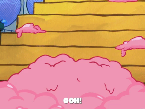 season 5 GIF by SpongeBob SquarePants
