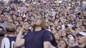 usu GIF by USUAthletics