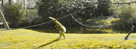 GIF by Planckendael