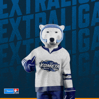 Hockey Hokej GIF by Tipsport extraliga