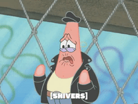 season 4 GIF by SpongeBob SquarePants