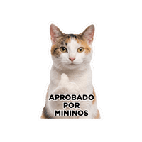 Seguroesporminino Sticker by Minino Plus®