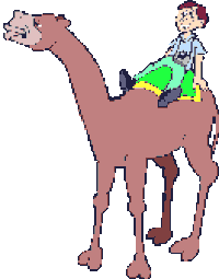 camel STICKER