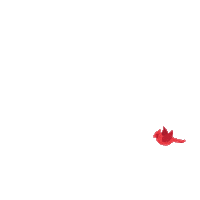 northcentralcollege cardinals commencement ncc naperville Sticker
