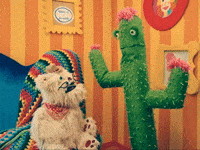Awesome Tv Show GIF by Happy Place
