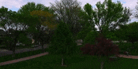 wisconsin GIF