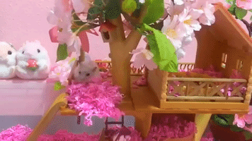 Hamsters Enjoy Their Time in Colorful Tree House
