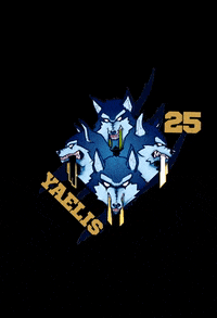 killerbludger quidditch cumulus nimbus cumulusnimbusqt cumulusnimbus GIF