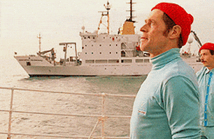wes anderson art GIF