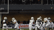 Csu Rams GIF by Colorado State Rams