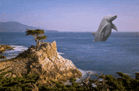 GIF by namslam
