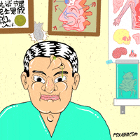 China Fox GIF by gifnews