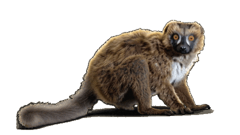 Maki Aida Sticker by AIDA_Cruises