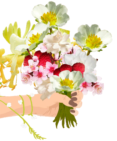 Flower Sticker by Starla Wines