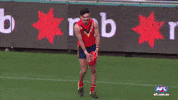 izak rankine GIF by AFL