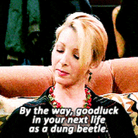 phoebe buffay GIF