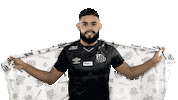 Santosfc Sticker by Santos Futebol Clube