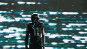 Oregon Football GIF by GoDucks