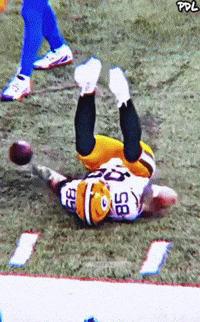 Green Bay Packers GIF by The Undroppables