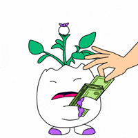 Stealing No Money GIF by Magic Eden