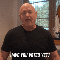 Vote Election GIF by Captain Mark Kelly