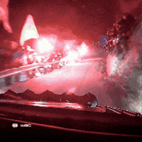 Sport Driving GIF by FIA World Rally Championship