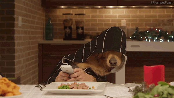 that last dog tho GIF by Digg