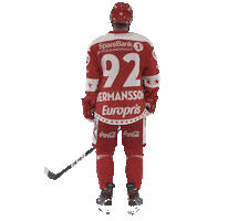Stjernen Elite Sticker by StjernenHockey