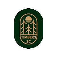 Diazateam Sticker by Diaza Football