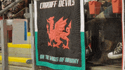 Ice Hockey GIF by Cardiff Devils