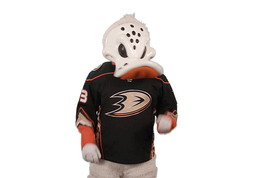 Ice Hockey Sticker by NHL