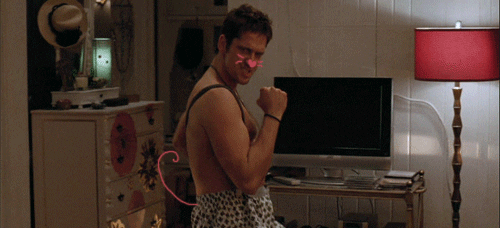 gerard butler kitty GIF