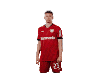 Bayer 04 Werkself Sticker by Bayer 04 Leverkusen