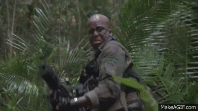 cant wait to see this GIF