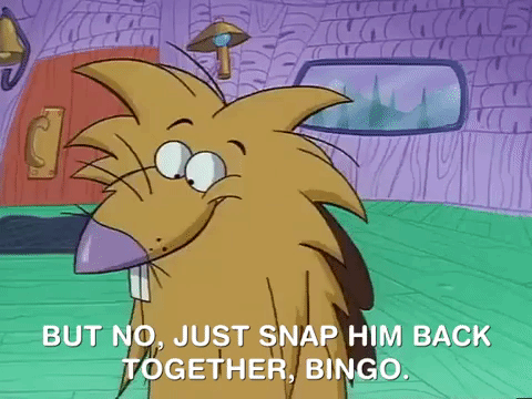 nickrewind giphydvr nicksplat angry beavers giphyab031 GIF