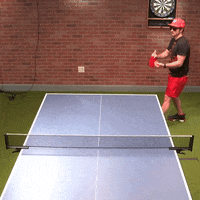 Big Cat Honk GIF by Barstool Sports