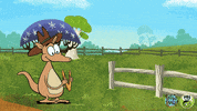 down under australia GIF by PBS KIDS