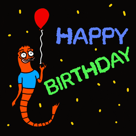 Happy Birthday Party GIF by shremps