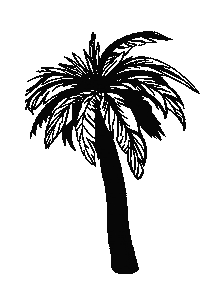 Beach Rose Sticker