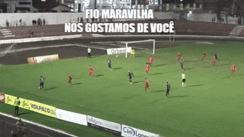 fio maravilha catubarao GIF by Clube Atlético Tubarão