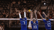 France Yes GIF by Volleyball World