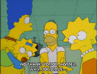 homer simpson episode 23 GIF